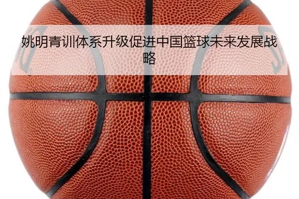 姚明青训体系升级促进中国篮球未来发展战略